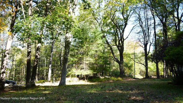 a view of backyard with green space