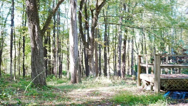 a view of outdoor space and yard
