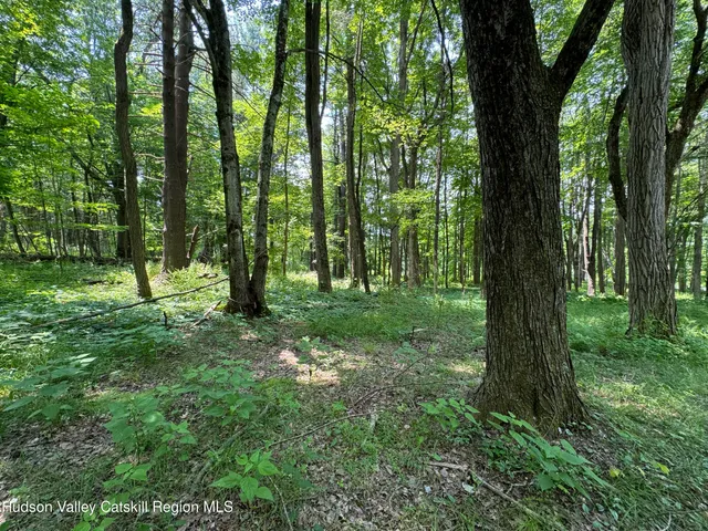 a view of outdoor space with green field and trees