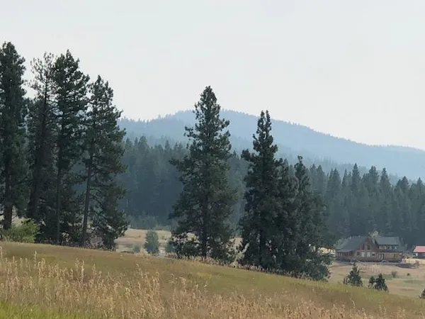 $225,000 | Tbd Canyon Creek Way, Unit 14, New Meadows, ID 83654
