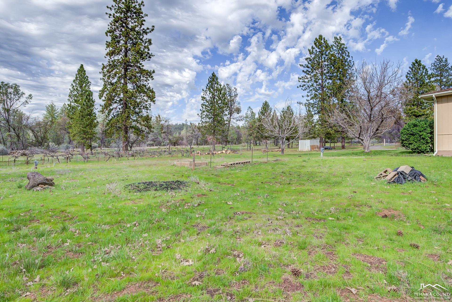 21115 Rolling Hills Road Manton, CA 96059 - Photo 41 of 48 Gallery Image 41