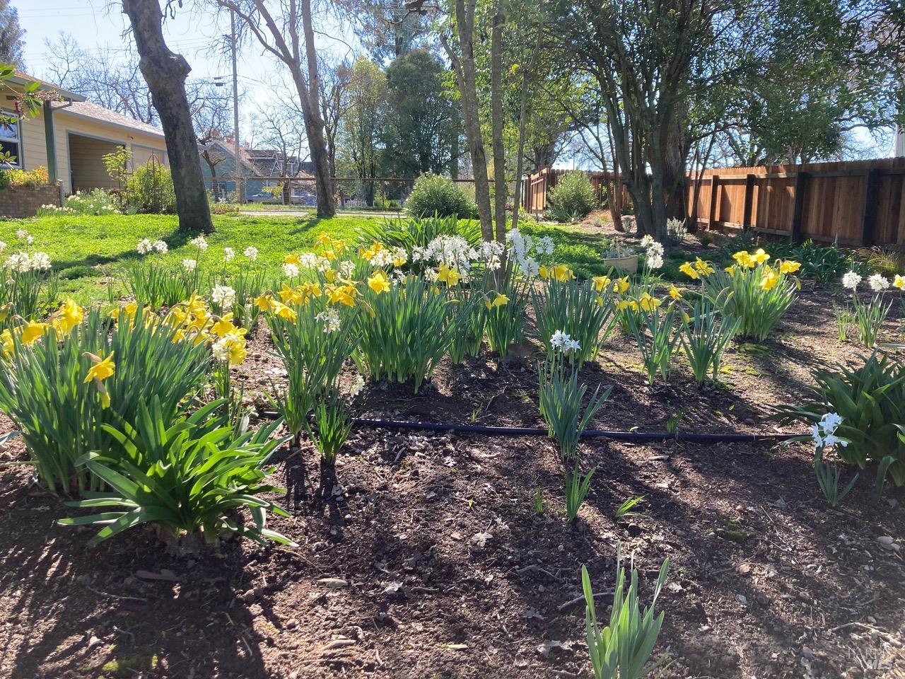 644 Piezzi Road Santa Rosa, CA 95401 - Photo 29 of 63