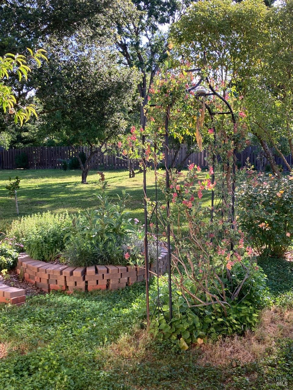 644 Piezzi Road Santa Rosa, CA 95401 - Photo 31 of 63 a view of a garden with an trees