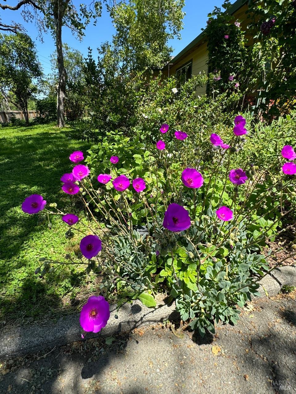 644 Piezzi Road Santa Rosa, CA 95401 - Photo 32 of 63