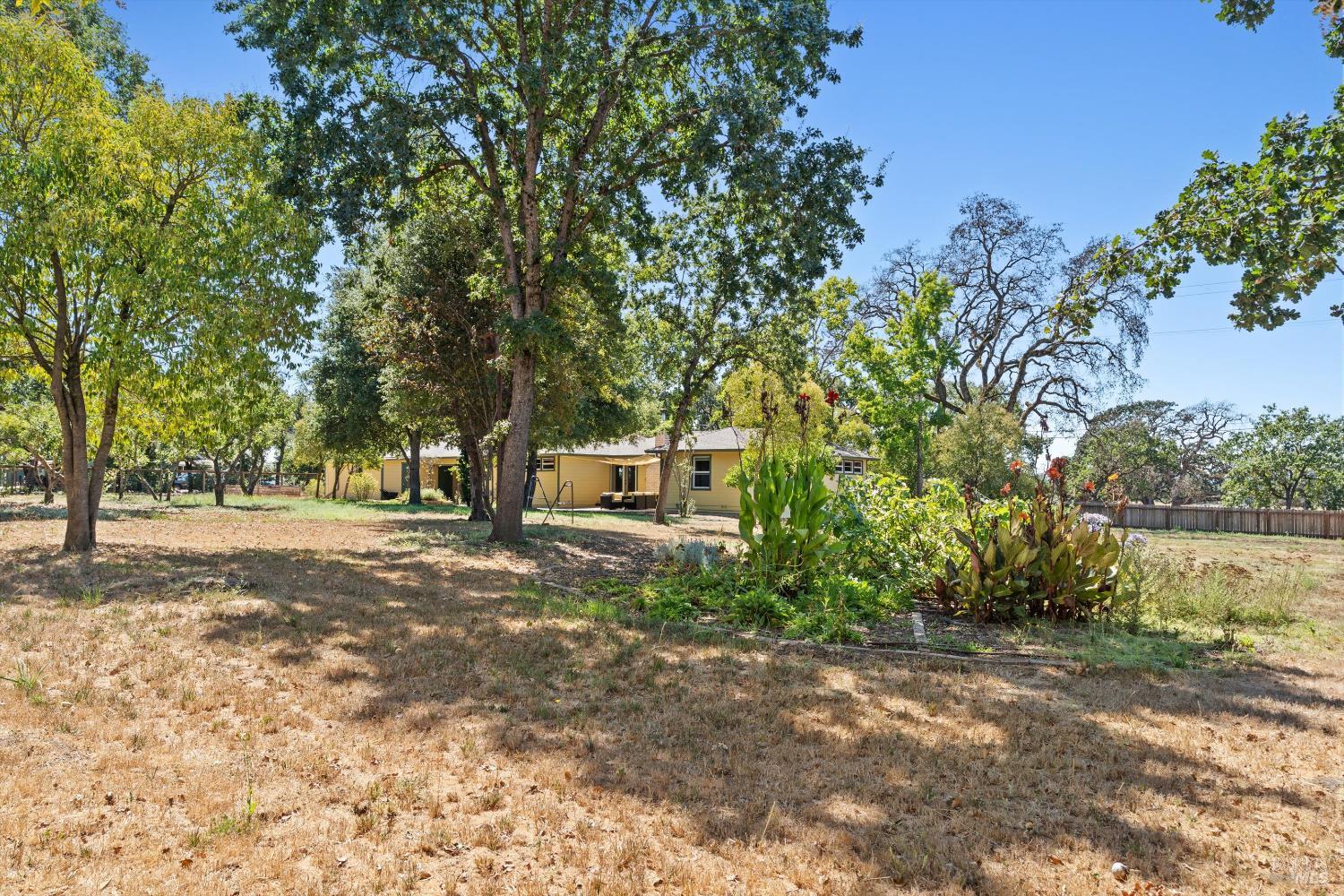 644 Piezzi Road Santa Rosa, CA 95401 - Photo 34 of 63 a view of a tree in front of a house