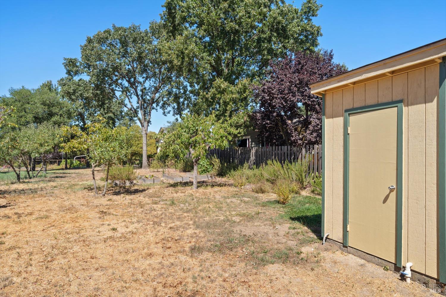 644 Piezzi Road Santa Rosa, CA 95401 - Photo 41 of 63 a backyard of a house with large trees and outdoor space