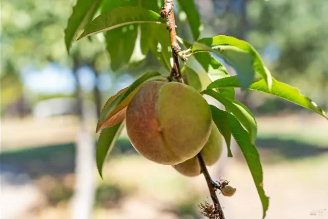 an aerial view of beach and sign board