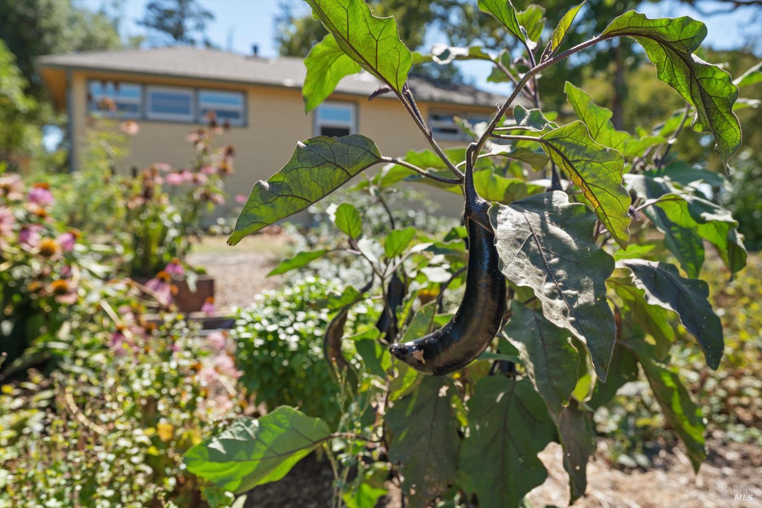 644 Piezzi Road Santa Rosa, CA 95401 - Photo 44 of 63