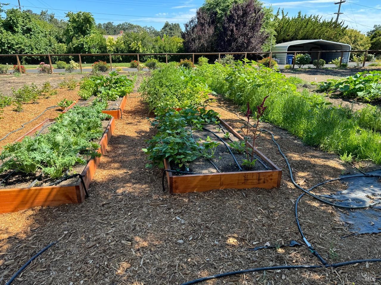 644 Piezzi Road Santa Rosa, CA 95401 - Photo 46 of 63 a view of a lake with large trees