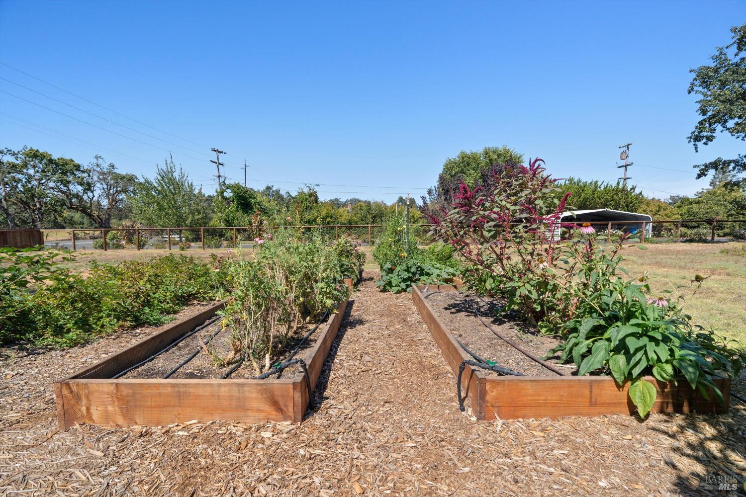 644 Piezzi Road Santa Rosa, CA 95401 - Photo 47 of 63 a view of a backyard with plants and lake view