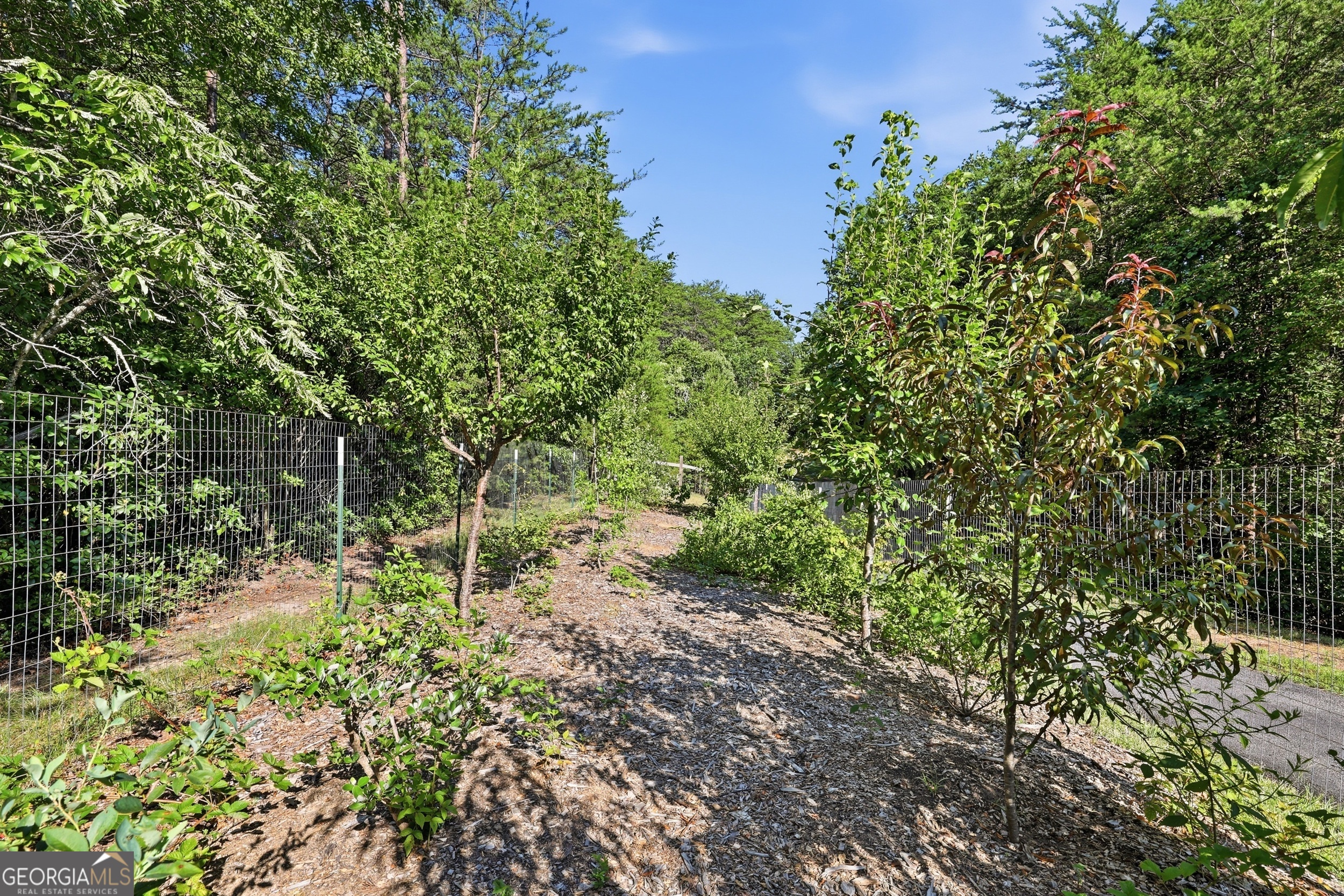 629 Monroe Ridge Road, Unit 30 59 Sautee Nacoochee, GA 30571 - Photo 66 of 85
