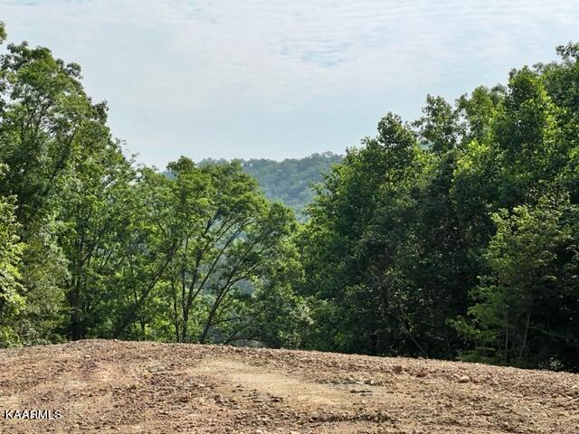 645 Joppa Mountain Road Rutledge, TN 37861 - Photo 1 of 14 IMG_8901