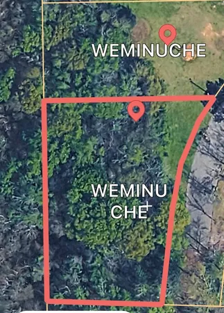 $23,000 | Lot 1 Carr Circle, Headland, AL 36345