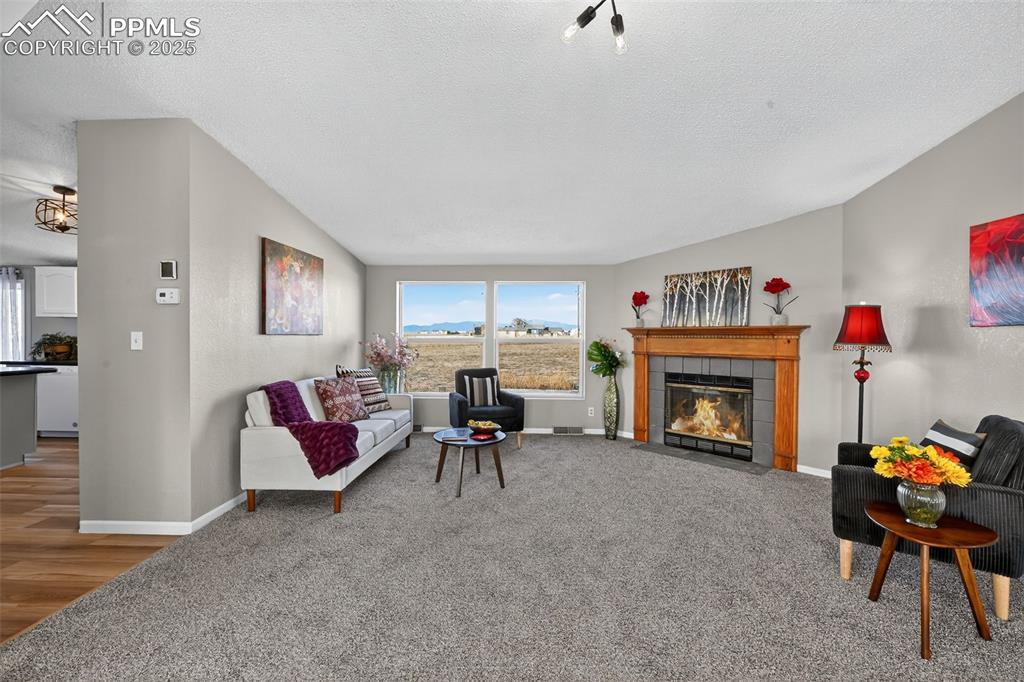 704 Buffalo Run Road Calhan, CO 80808 - Photo 11 of 45