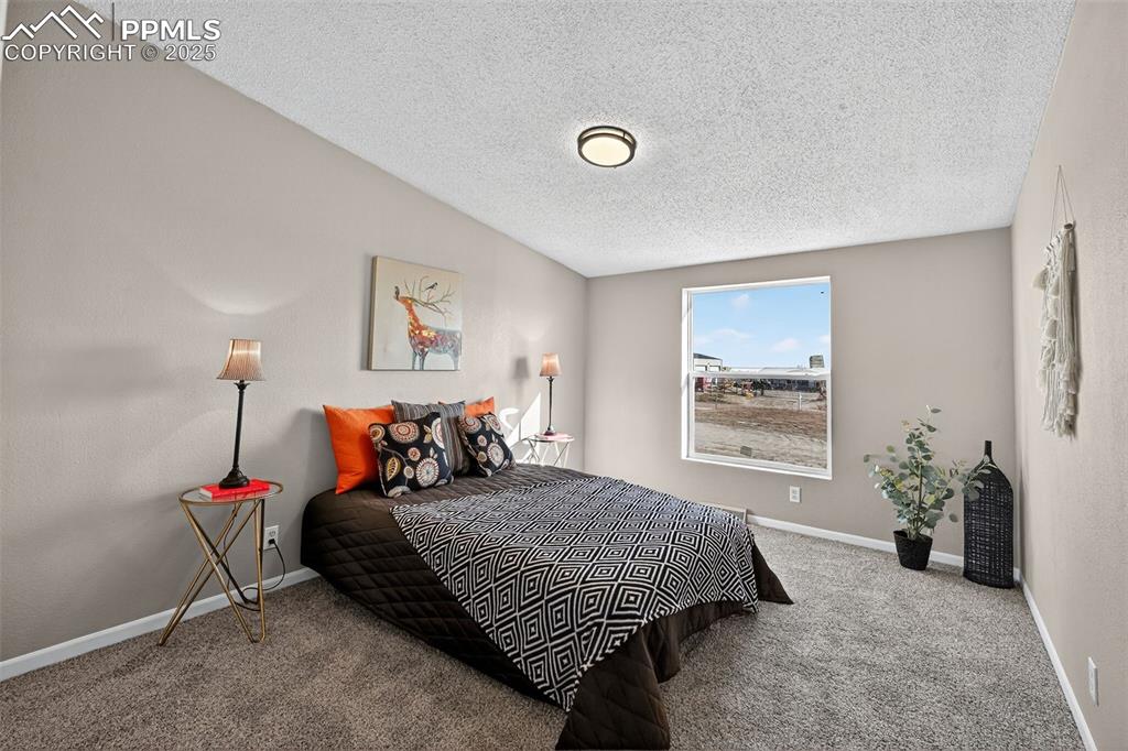 704 Buffalo Run Road Calhan, CO 80808 - Photo 12 of 45