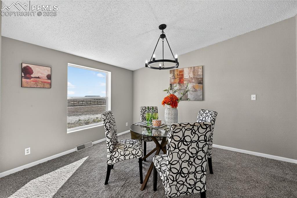 704 Buffalo Run Road Calhan, CO 80808 - Photo 15 of 45