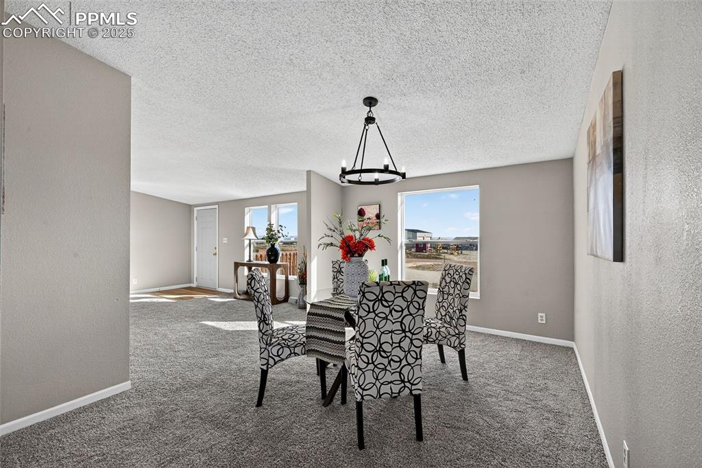 704 Buffalo Run Road Calhan, CO 80808 - Photo 16 of 45