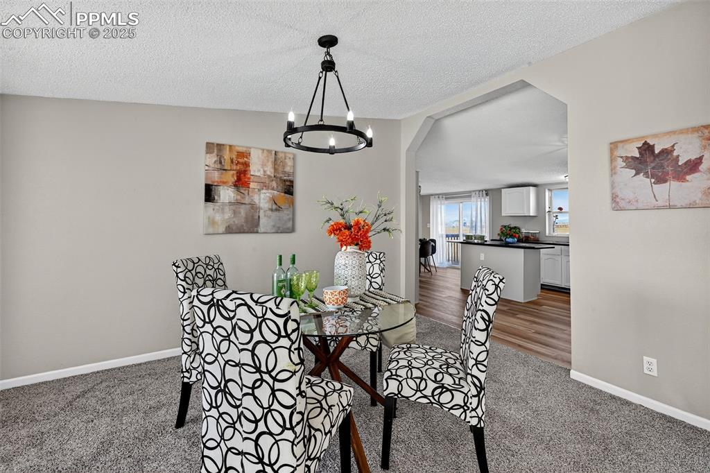 704 Buffalo Run Road Calhan, CO 80808 - Photo 17 of 45