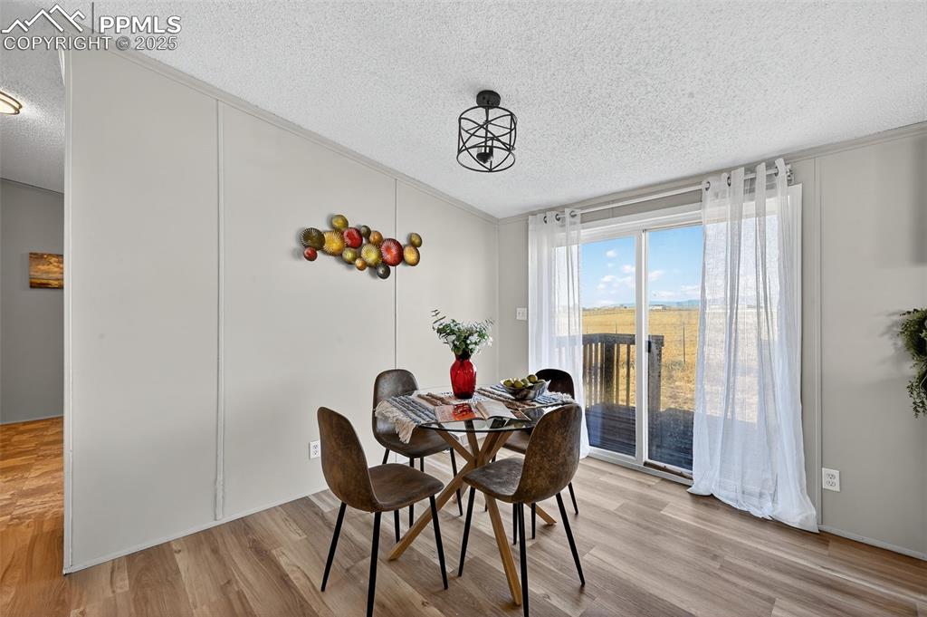 704 Buffalo Run Road Calhan, CO 80808 - Photo 23 of 45