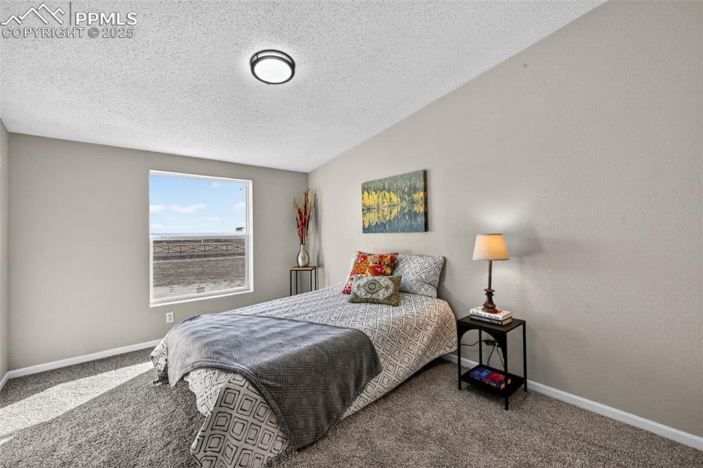 704 Buffalo Run Road Calhan, CO 80808 - Photo 28 of 45