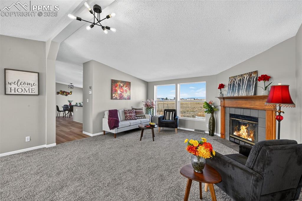 704 Buffalo Run Road Calhan, CO 80808 - Photo 10 of 45