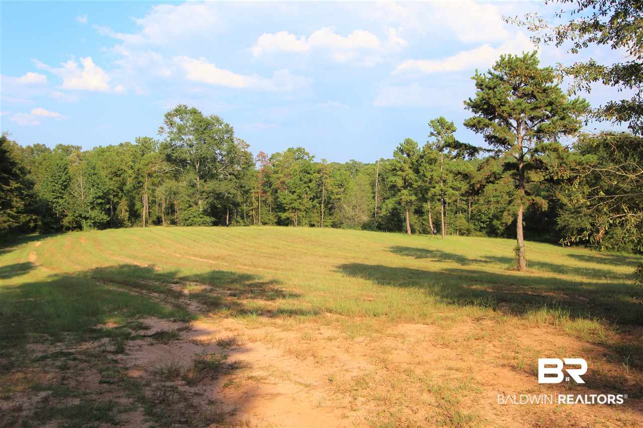 794 Dry Lake Road Luverne, AL 36049 - Photo 13 of 48 Food Plot