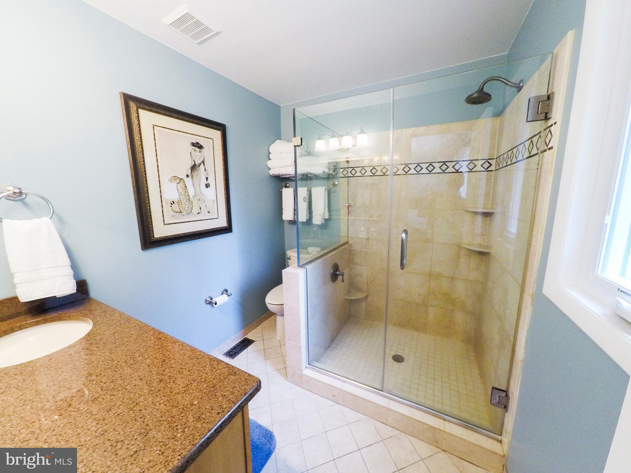 506 Tulip Road Riva, MD 21140 - Photo 19 of 56 Owners En-Suite Bathroom