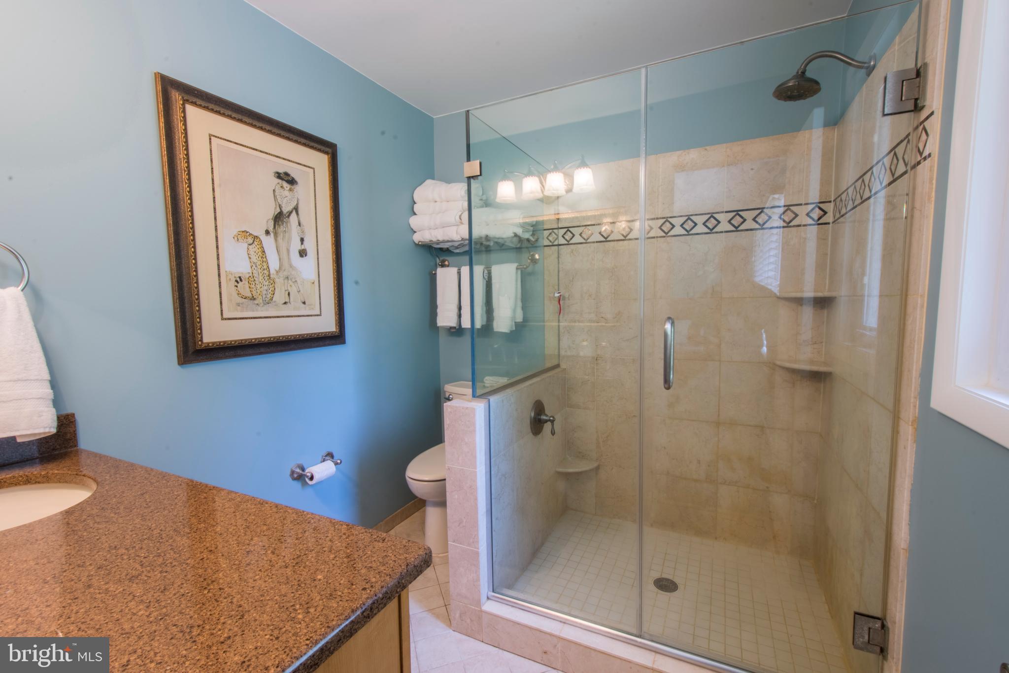 506 Tulip Road Riva, MD 21140 - Photo 22 of 56 Gorgeous Owners Bathroom
