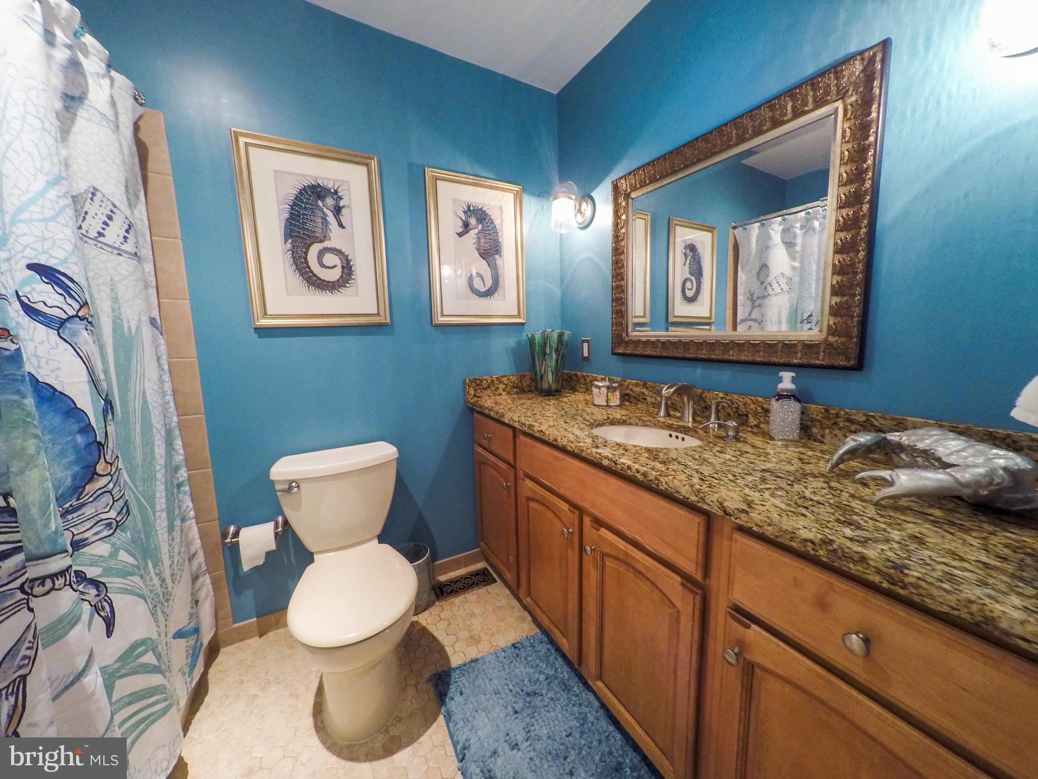 506 Tulip Road Riva, MD 21140 - Photo 25 of 56 Full Bathroom In Hall With Granite Counter Top