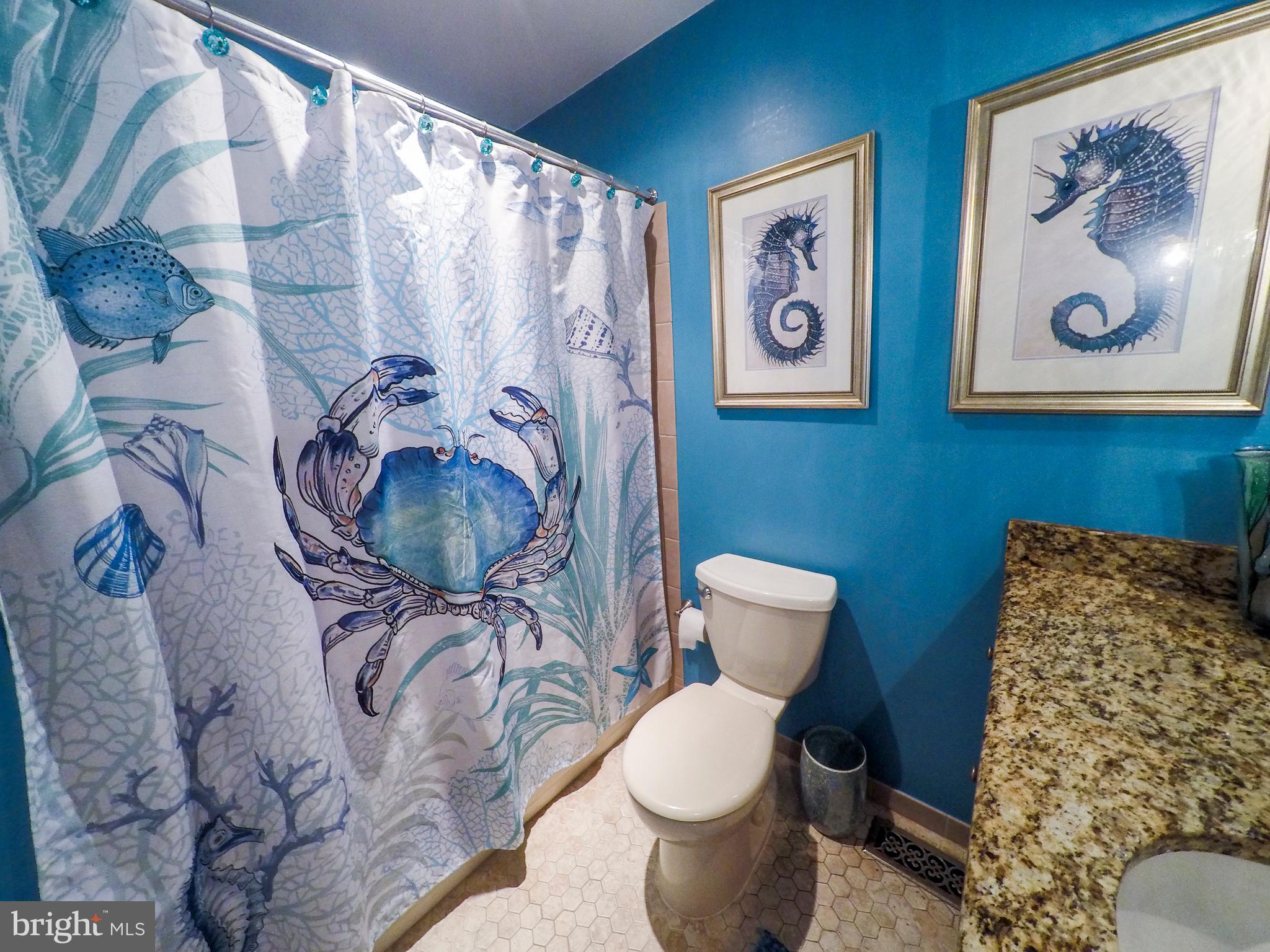 506 Tulip Road Riva, MD 21140 - Photo 26 of 56 Full Bathroom With Shower/Tub Combo