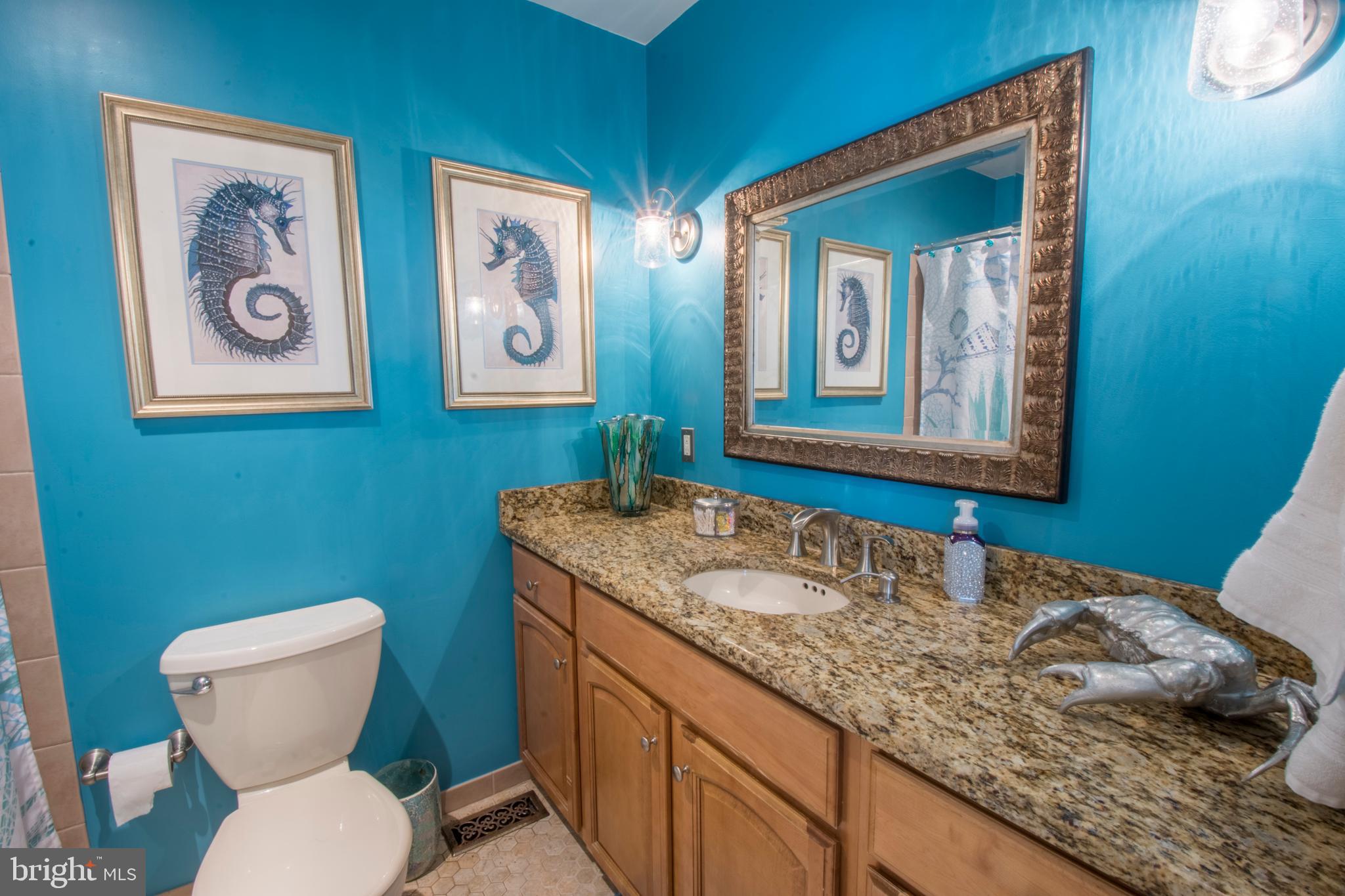 506 Tulip Road Riva, MD 21140 - Photo 27 of 56 Full Bathroom