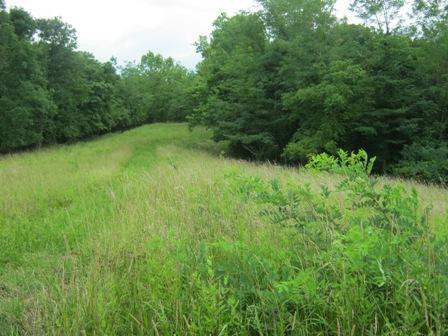 1354 Birdie Road Lawrenceburg, KY 40342 - Photo 25 of 55 Photo 25