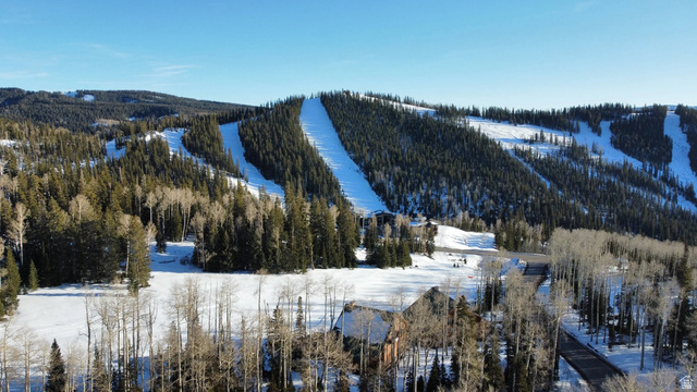 6 Tushar Mountain Estates, Unit 6 Beaver, UT 84713 - Photo 14 of 16 Extensive mountain terrain featuring ski slopes and evergreen forests