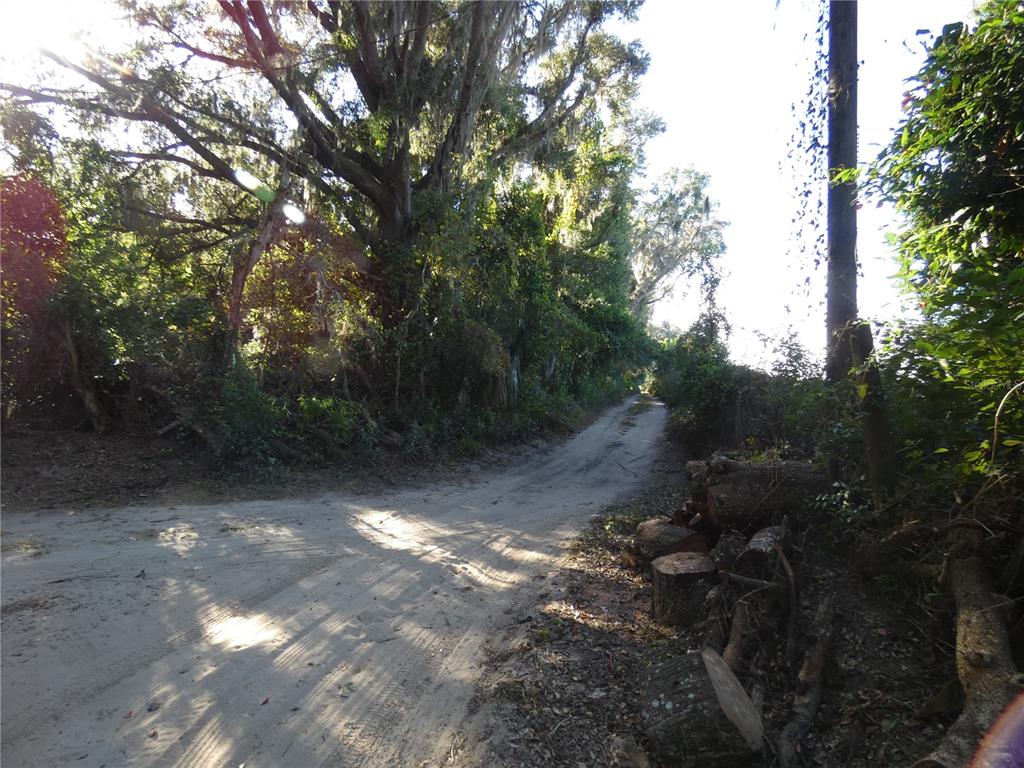 13701 Mockingbird Lane Citra, FL 32113 - Photo 8 of 10 a view of outdoor space and yard