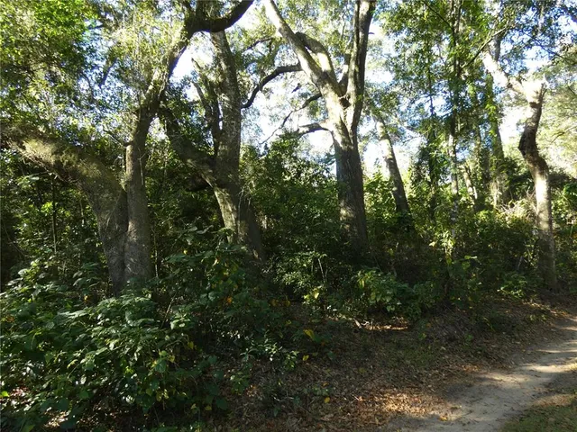 a view of a yard with a tree