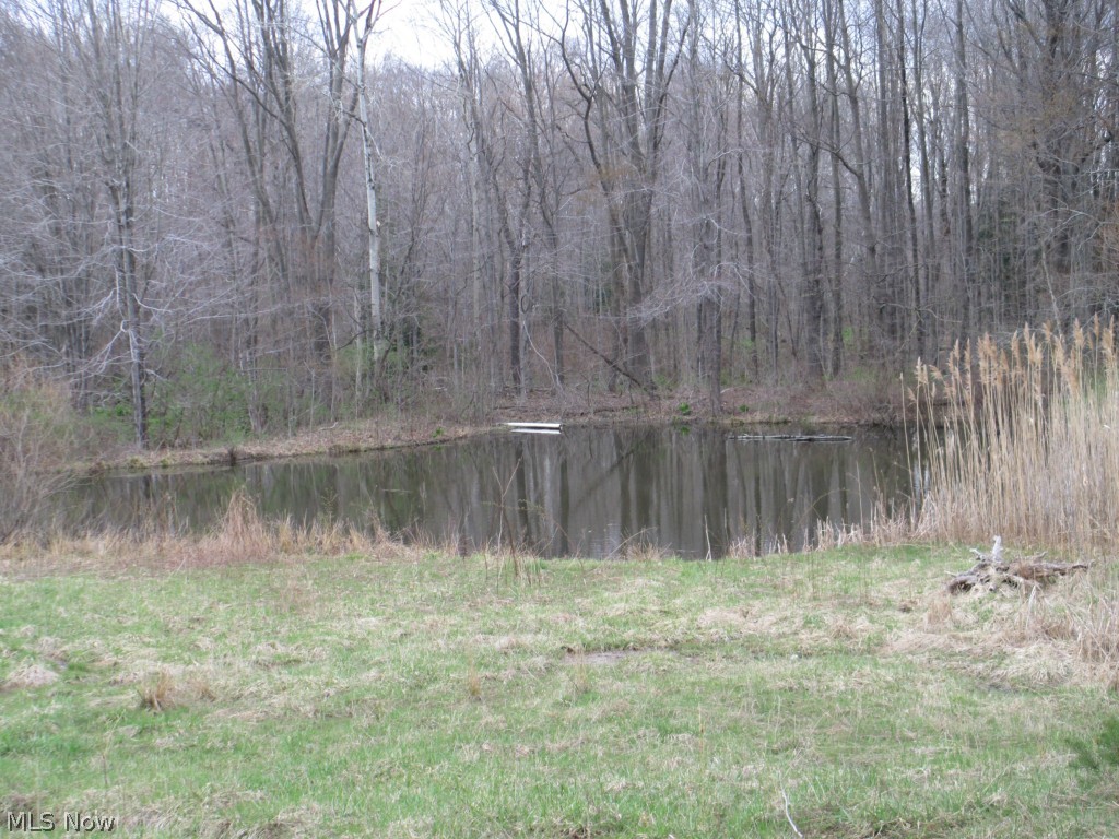 4271 Fox Road Kingsville, OH 44048 - Photo 4 of 7 Gallery Image 4