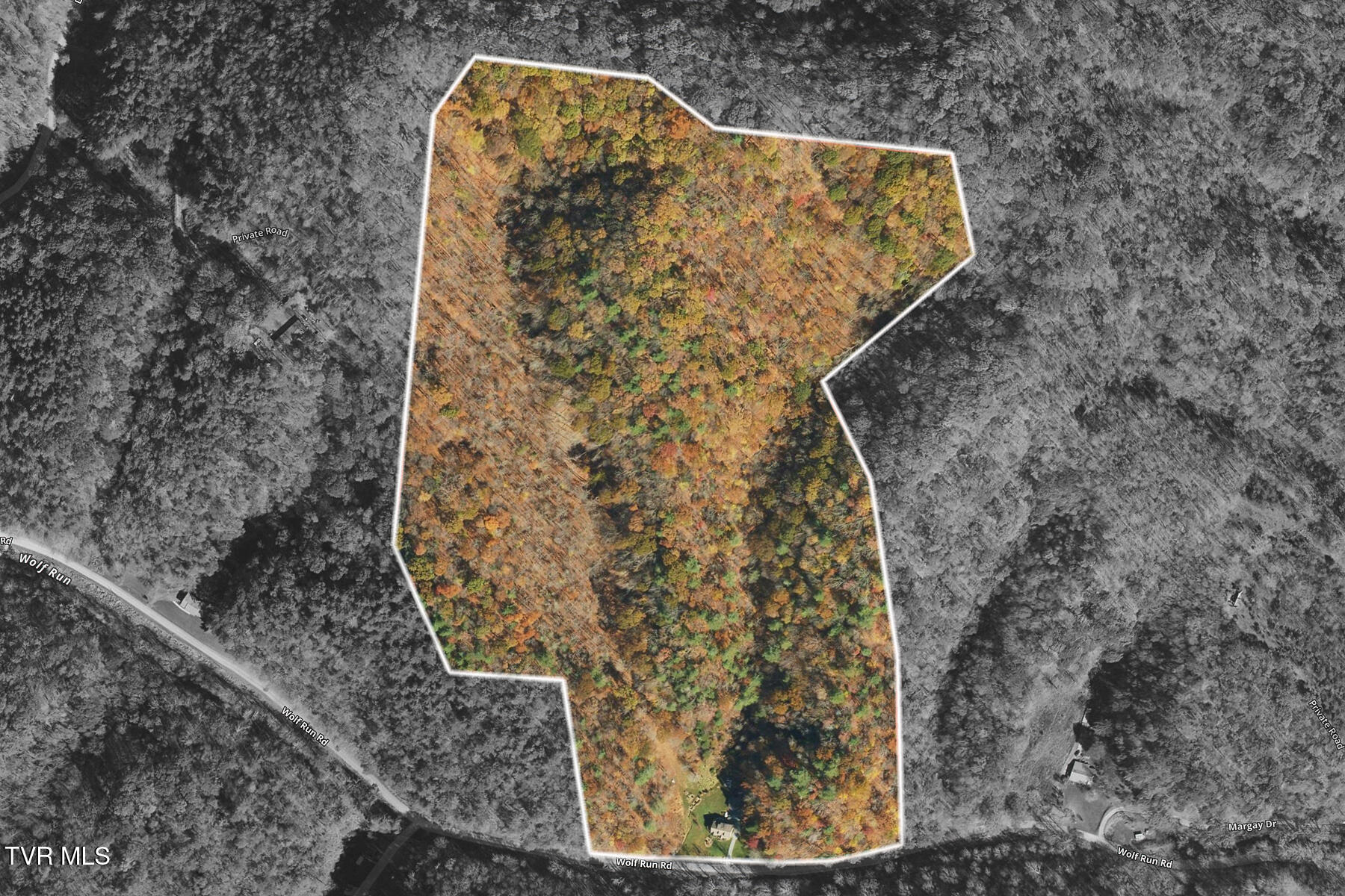 7519 Wolf Run Road Bristol, VA 24202 - Photo 6 of 49 7519 Wolf Run Rd-6