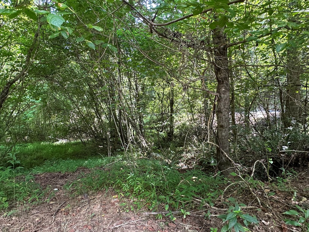 0 Choctaw Ridge Trail Murphy, NC 28906 - Photo 13 of 19