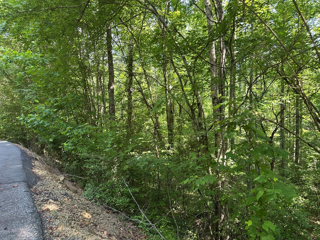 0 Choctaw Ridge Trail Murphy, NC 28906 - Photo 14 of 19