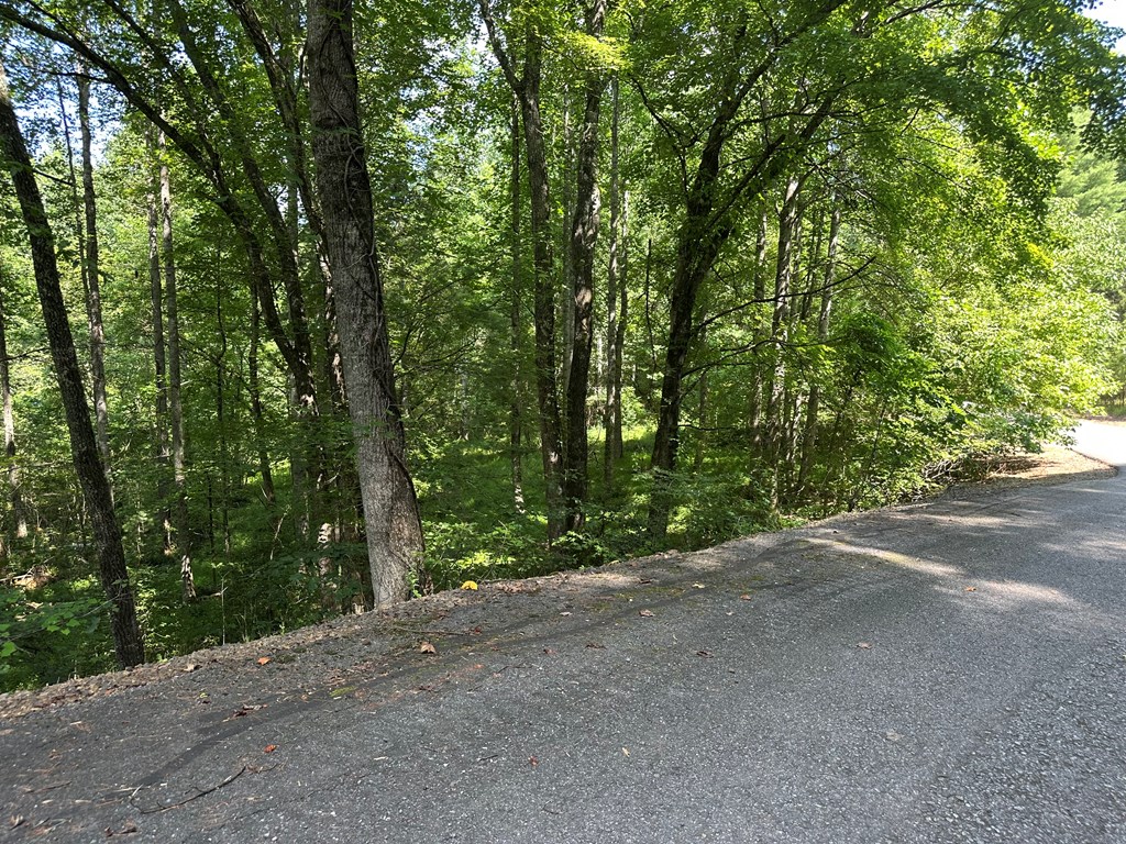 0 Choctaw Ridge Trail Murphy, NC 28906 - Photo 15 of 19