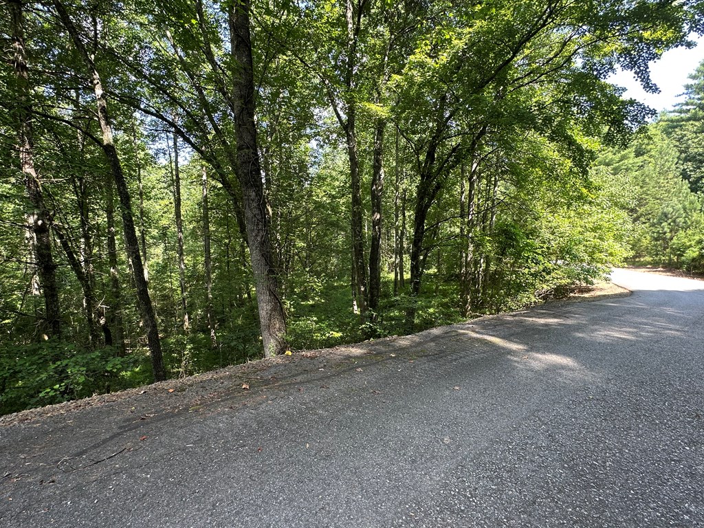 0 Choctaw Ridge Trail Murphy, NC 28906 - Photo 16 of 19