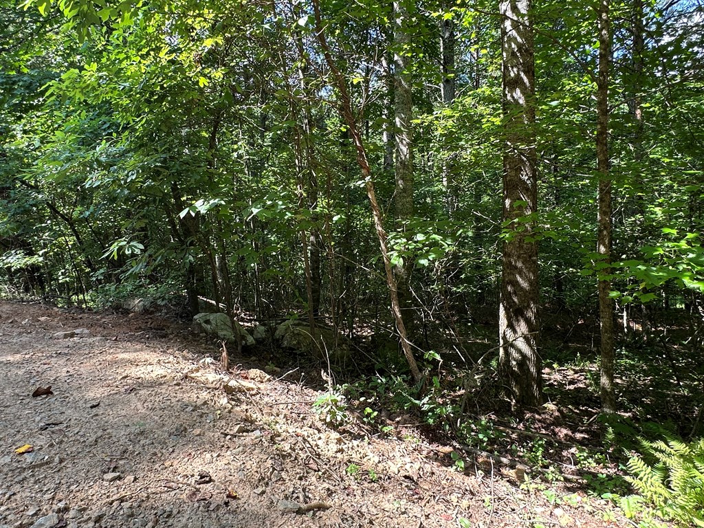 0 Choctaw Ridge Trail Murphy, NC 28906 - Photo 18 of 19