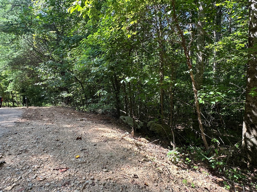 0 Choctaw Ridge Trail Murphy, NC 28906 - Photo 19 of 19