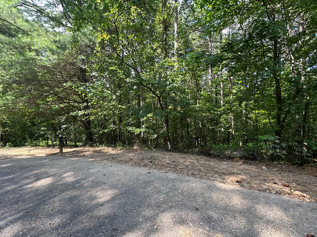 0 Choctaw Ridge Trail Murphy, NC 28906 - Photo 3 of 19