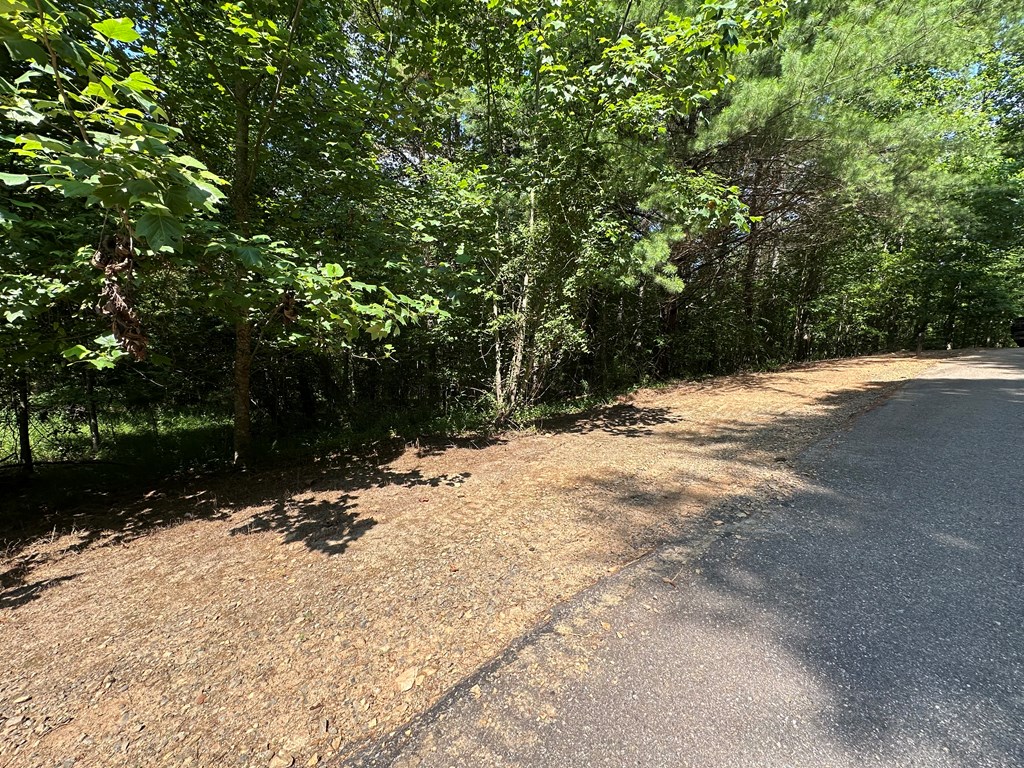 0 Choctaw Ridge Trail Murphy, NC 28906 - Photo 4 of 19