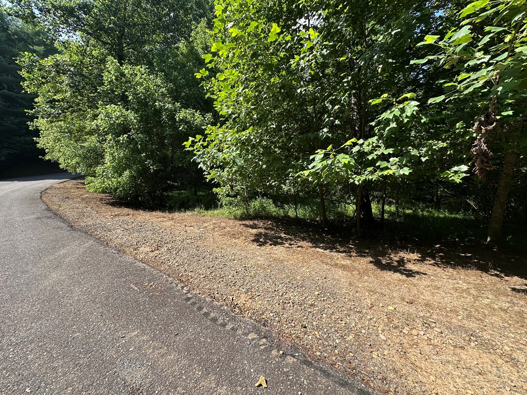 0 Choctaw Ridge Trail Murphy, NC 28906 - Photo 5 of 19