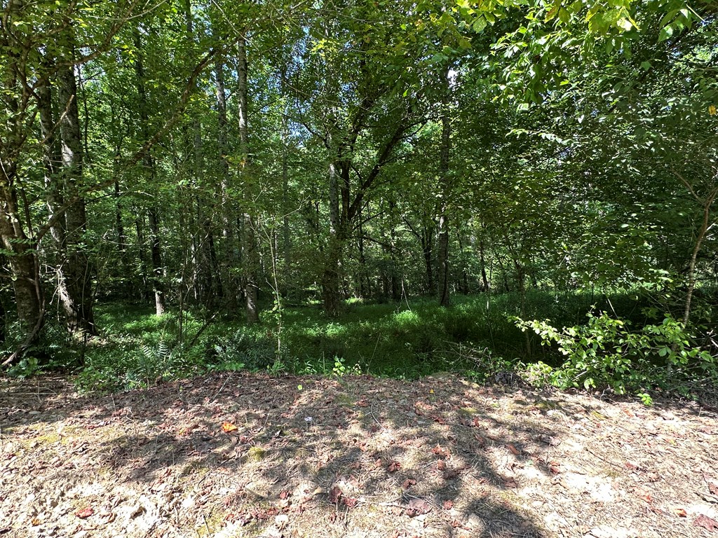 0 Choctaw Ridge Trail Murphy, NC 28906 - Photo 6 of 19