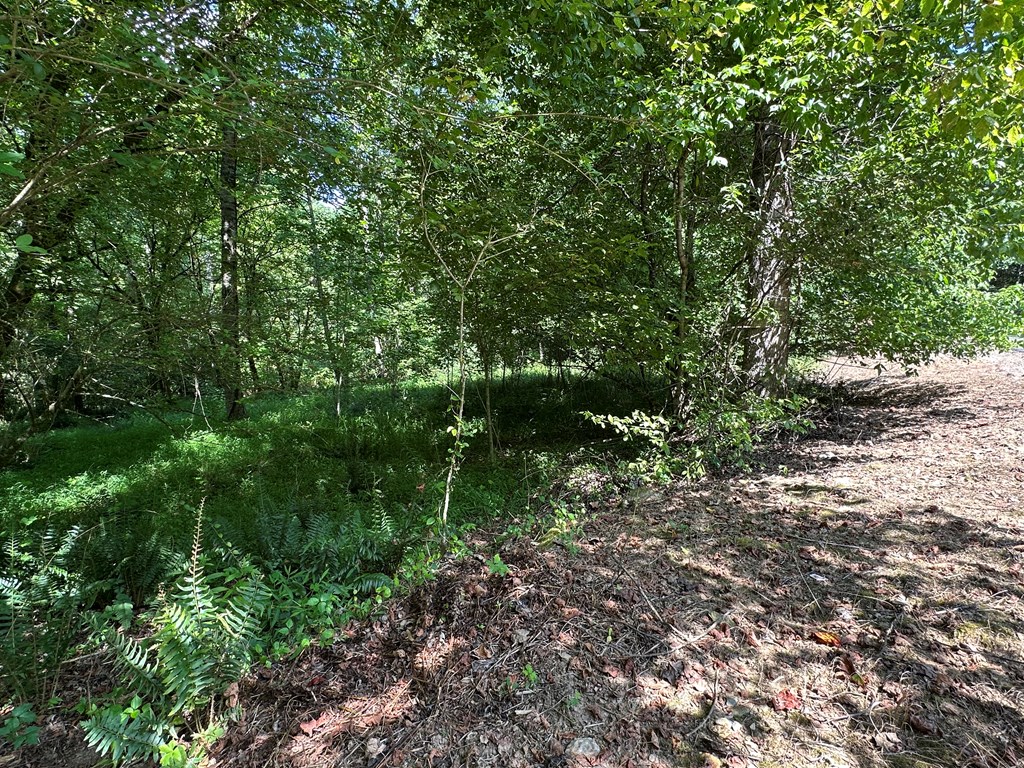 0 Choctaw Ridge Trail Murphy, NC 28906 - Photo 7 of 19