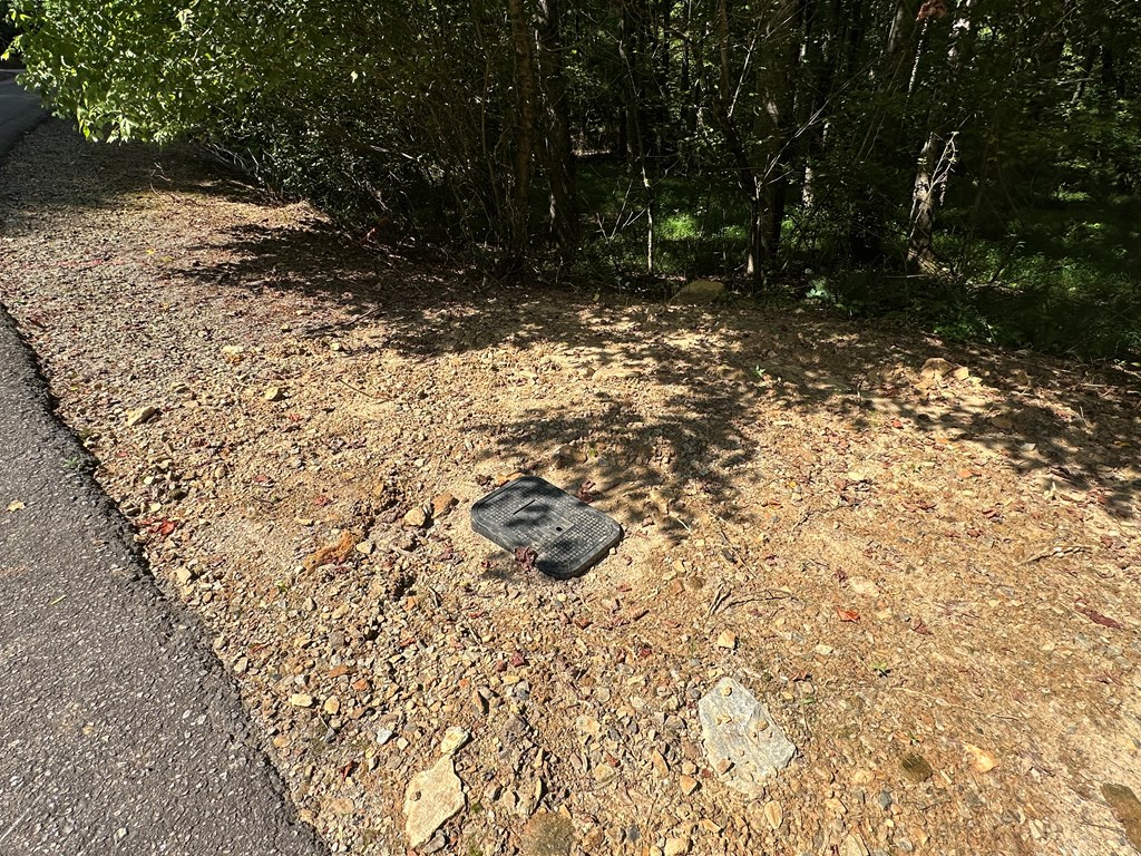 0 Choctaw Ridge Trail Murphy, NC 28906 - Photo 9 of 19