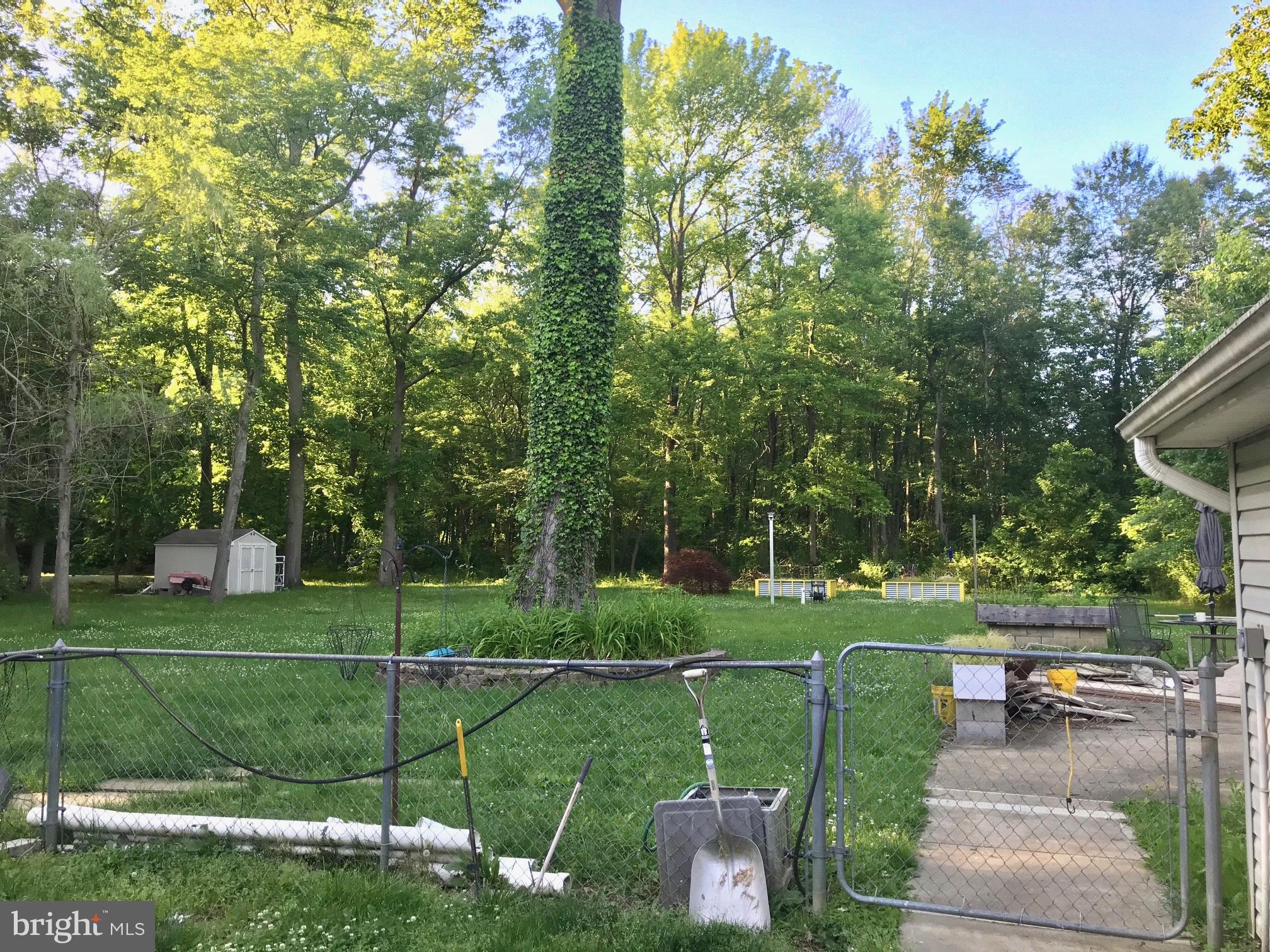 47 Highbridge Road Trenton, NJ 08620 - Photo 14 of 15 Wooded view